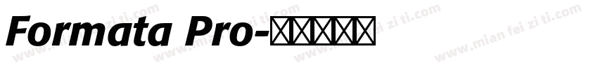 Formata Pro字体转换